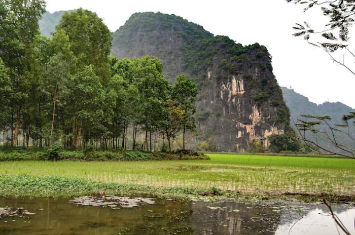 Natureza do Vietnã