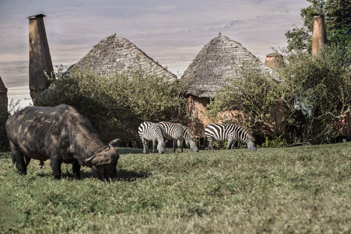 Lodge de luxo em Ngorongoro