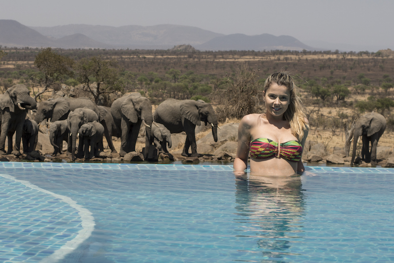 hotel lodge no Serengeti