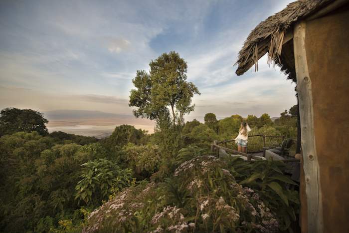 Ngorongoro Tanzânia