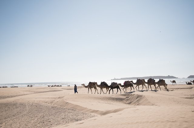 Praia de Essaouira no Marrocos